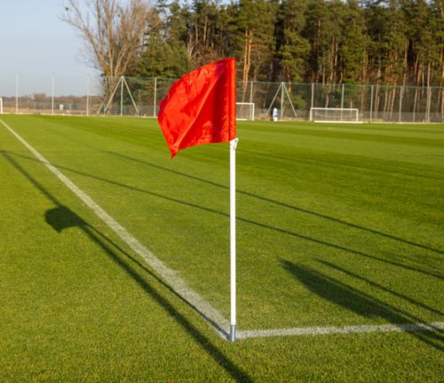 Flagi narożne na sprężynach wbijane, chorągiewki 4 sztuki - obrazek 3
